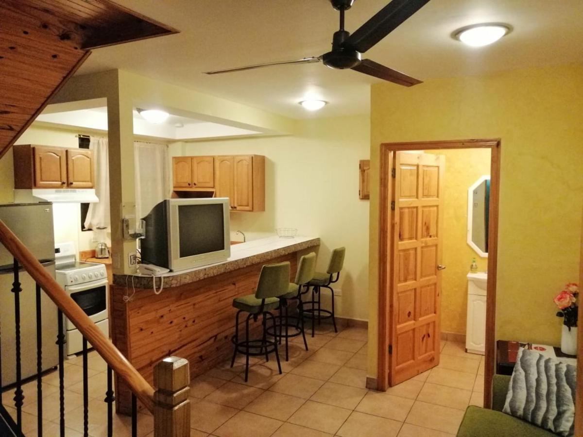 Apartotel Don Francisco San José Extérieur photo